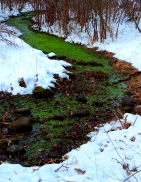 green stream